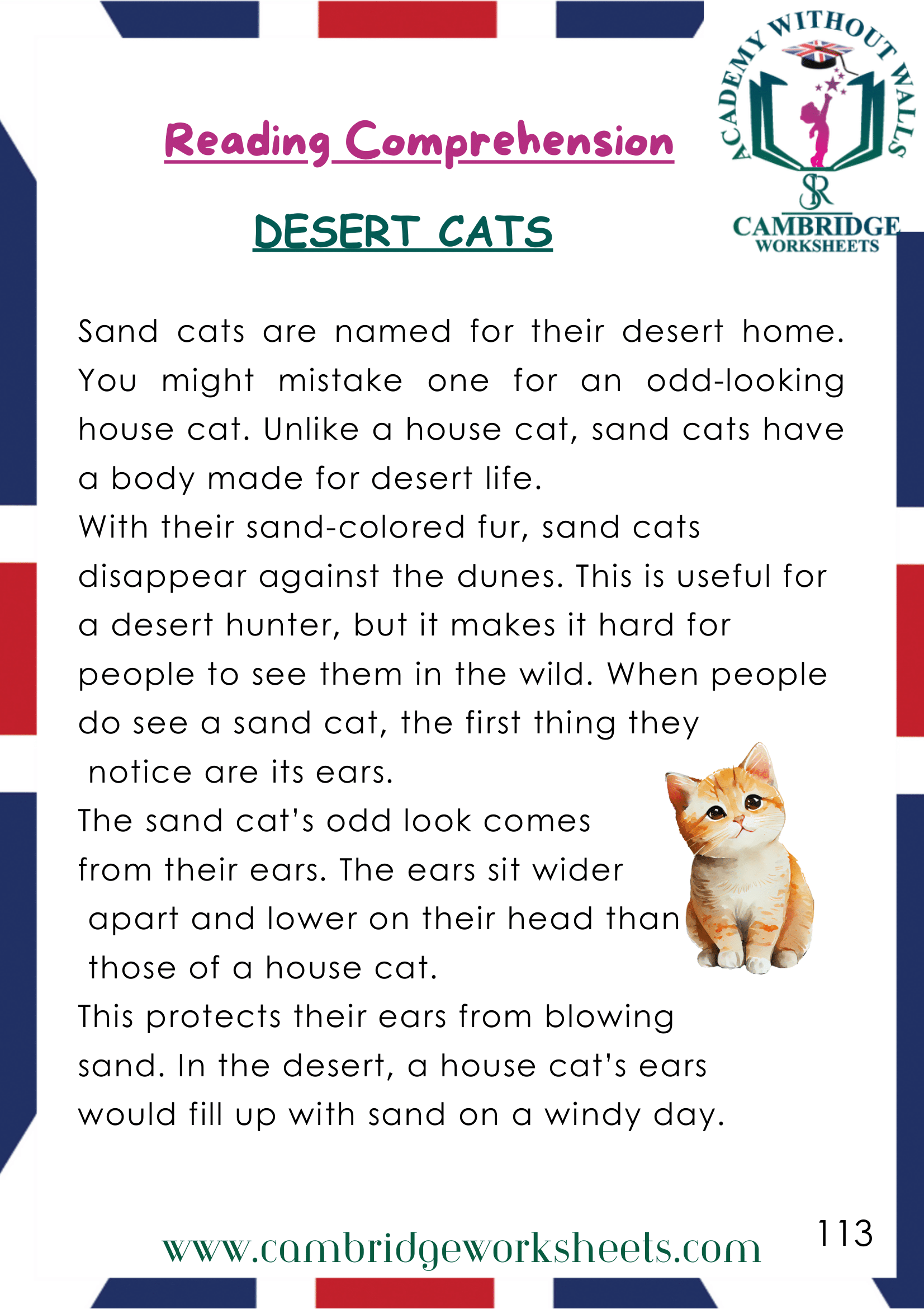 Grade 1 Reading Comprehension Pack Cambridge Work Sheets