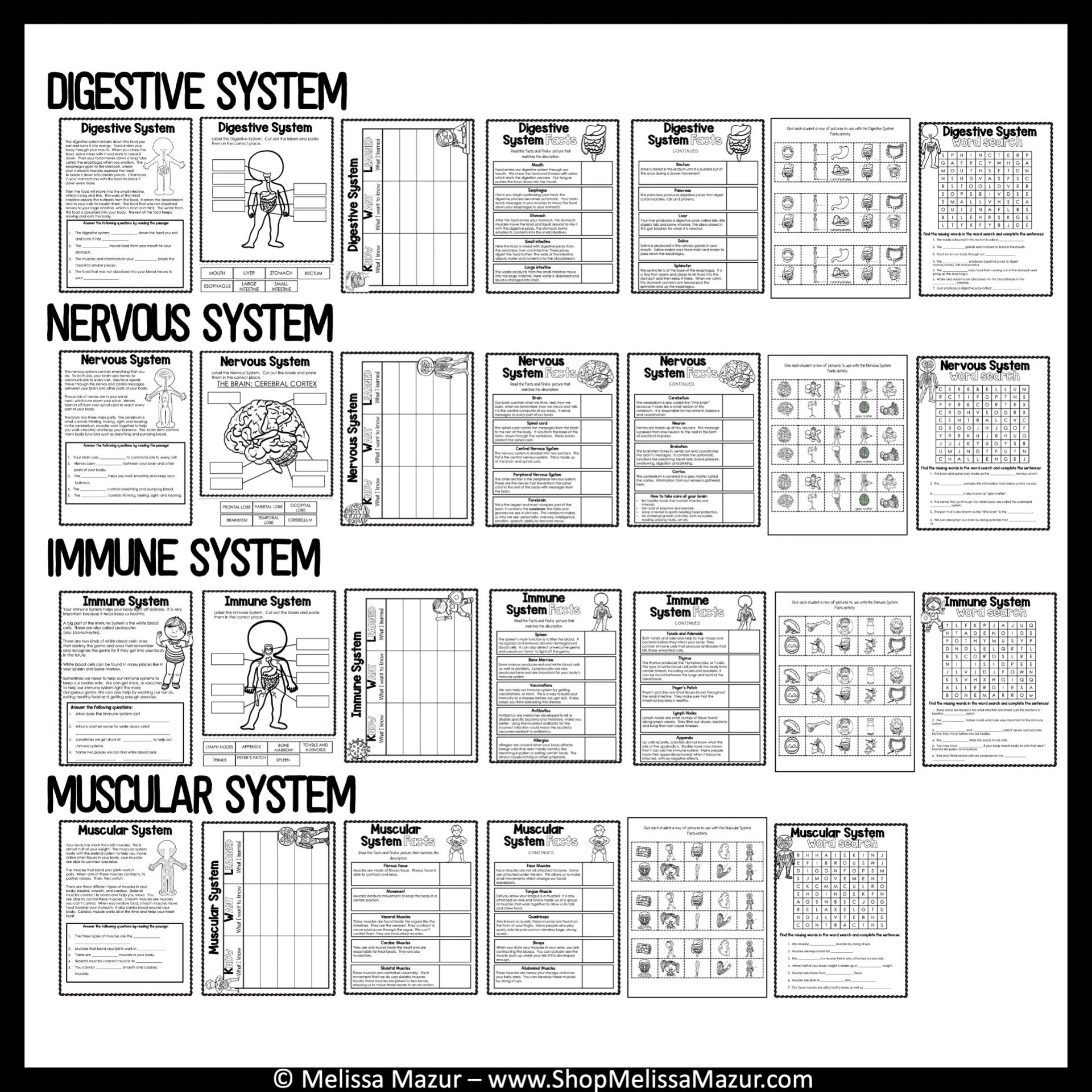 Body Systems Reading Comprehension Worksheets Pdf Body Systems Reading Comprehension Worksheets Pdf