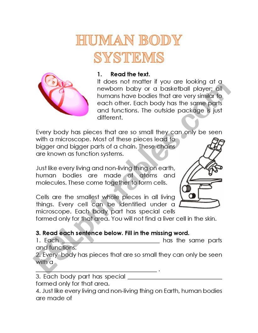 HUMAN BODY SYSTEMS READING COMPREHENSION ESL Worksheet By Glomar HUMAN BODY SYSTEMS READING COMPREHENSION ESL Worksheet By Glomar