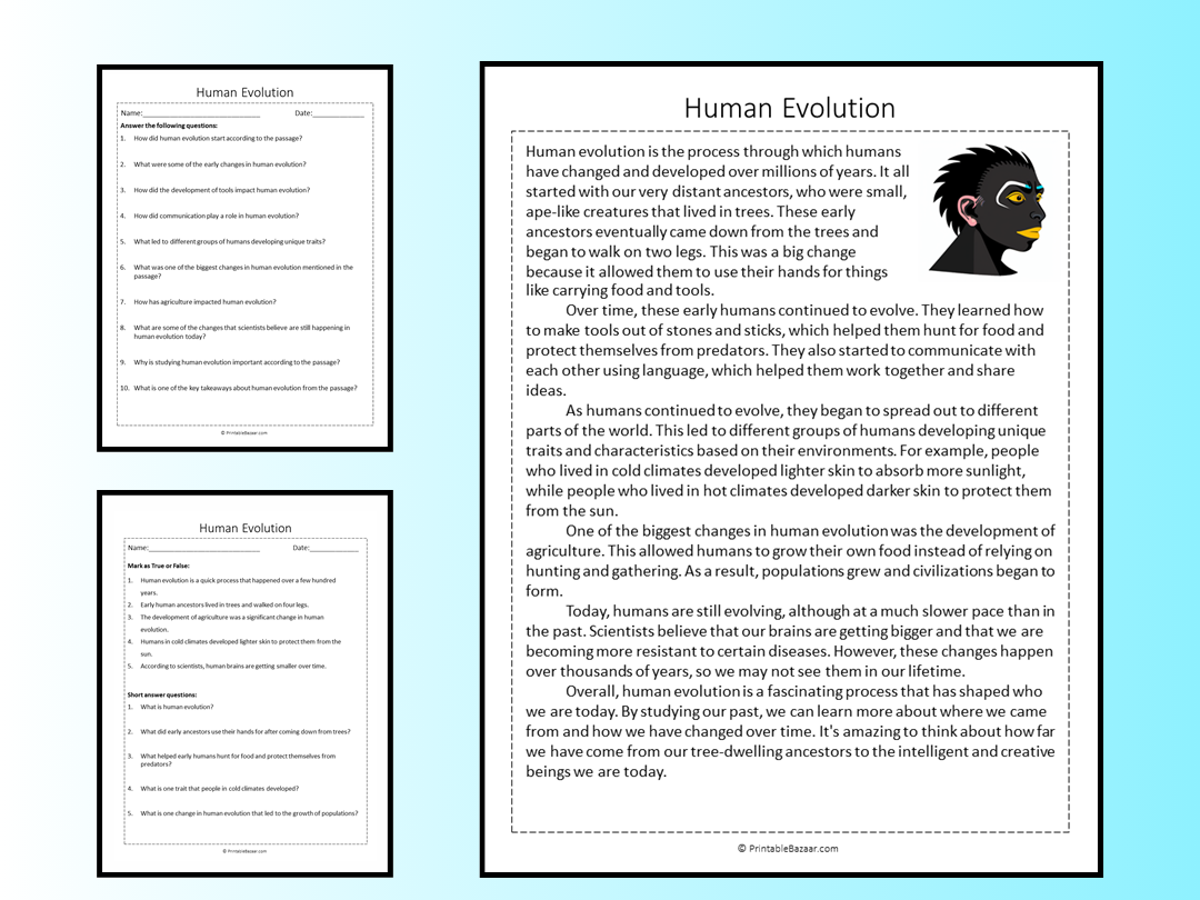 Human Evolution Reading Comprehension Passage Printable Worksheet Teaching Resources