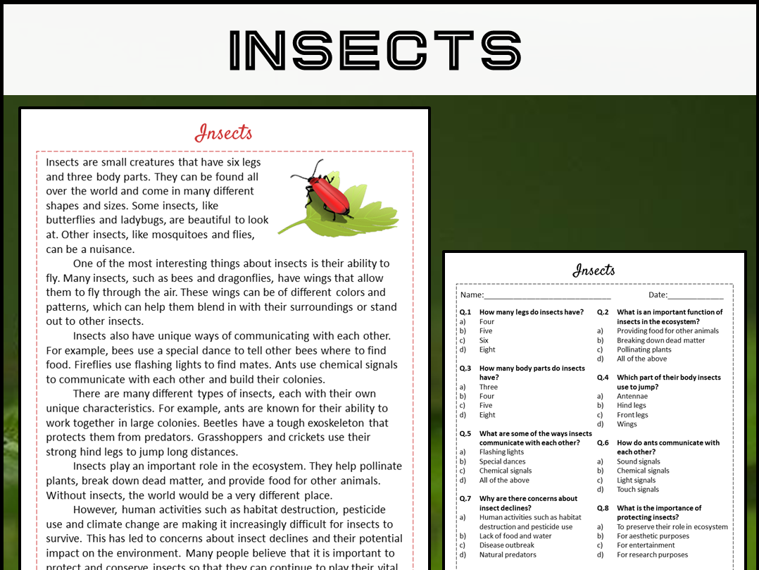 Insects Reading Comprehension Passage And Questions PDF Teaching Resources