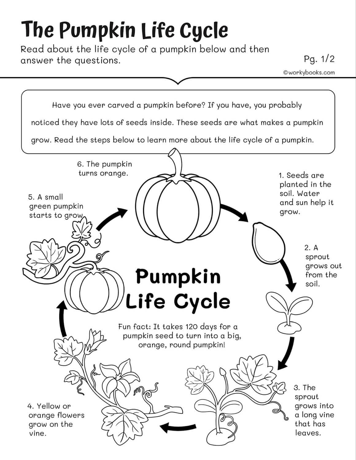 Circle Grade 4 Reading Comprehension Worksheets