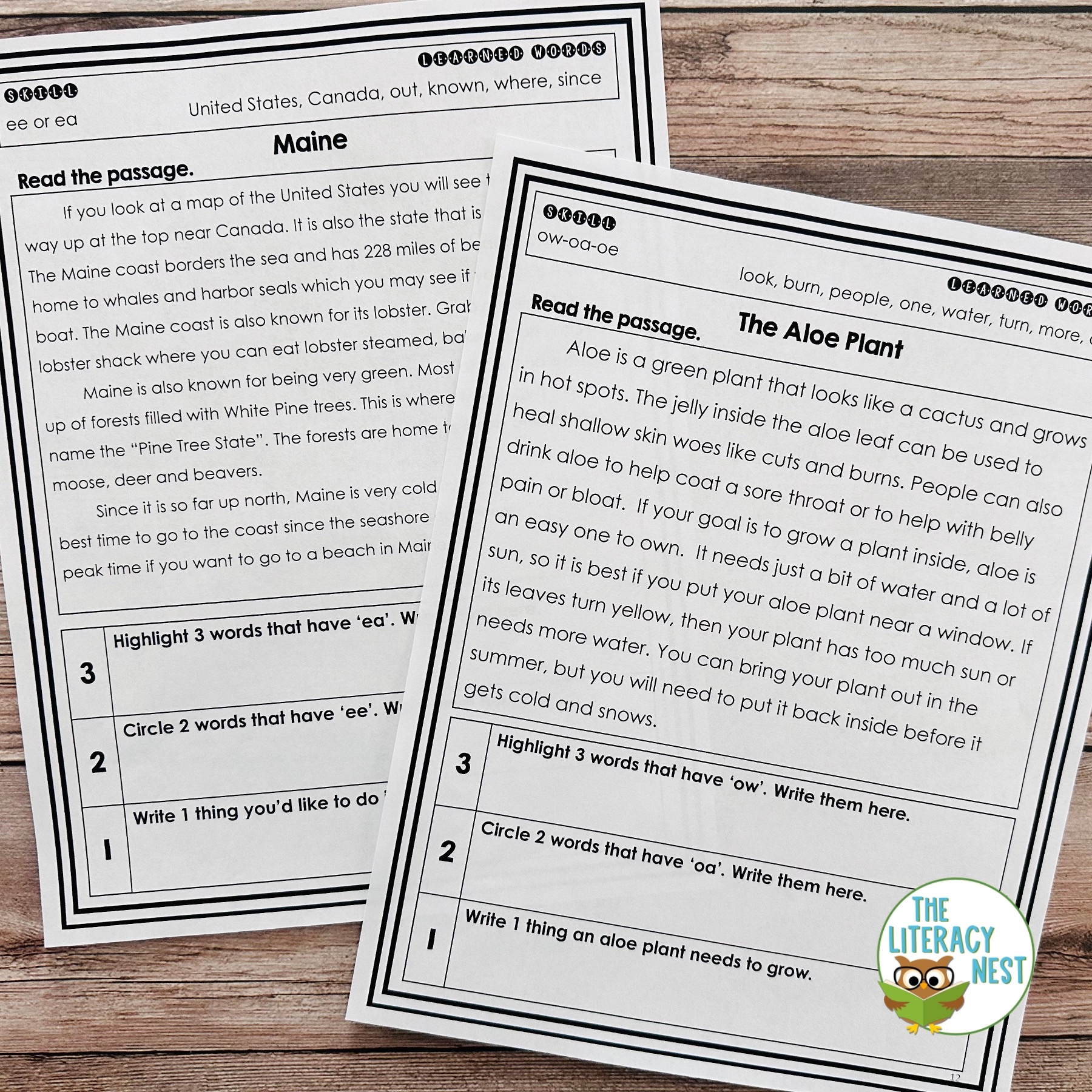 Generalization Reading Comprehension Worksheets