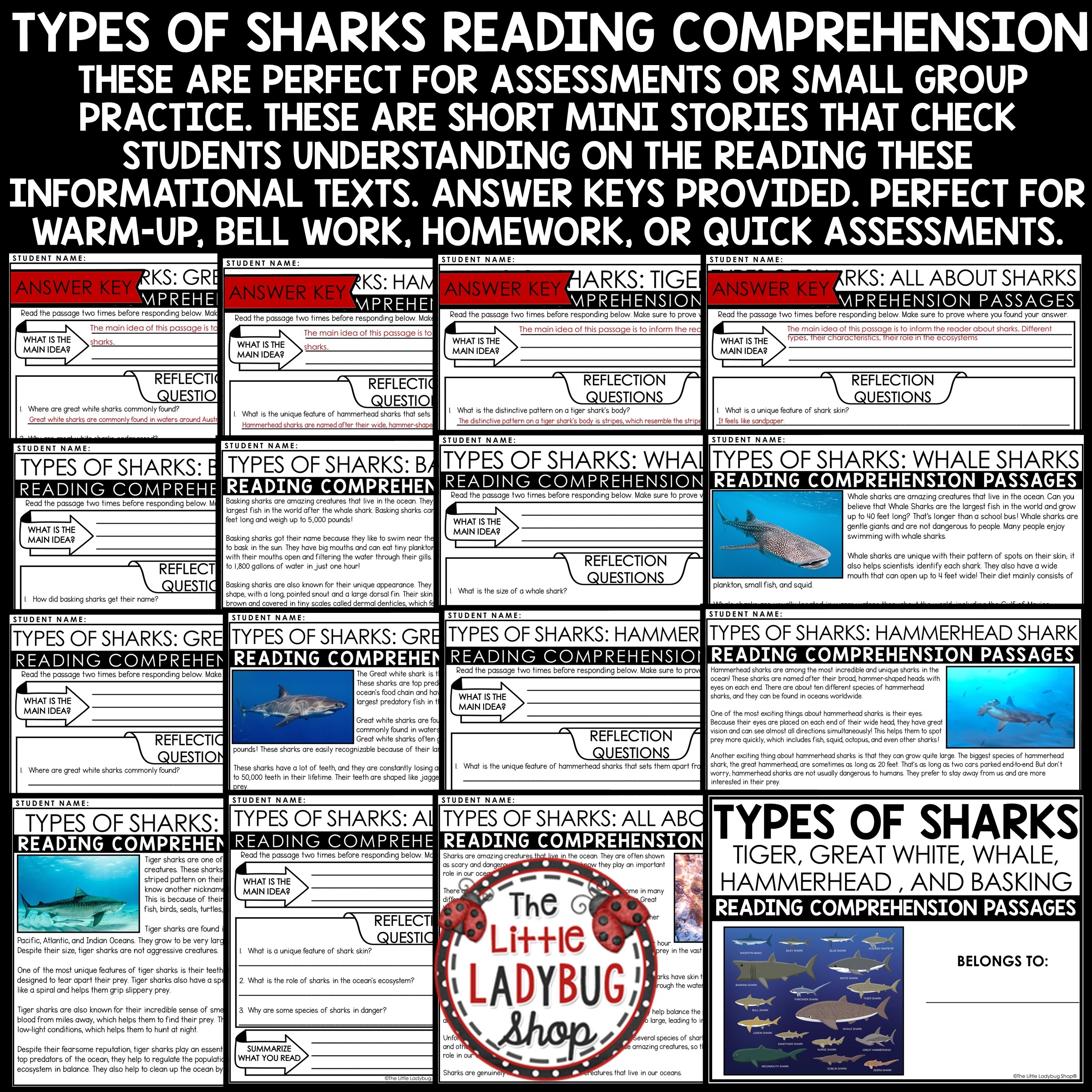 Hammerhead Shark Reading Comprehension Worksheets