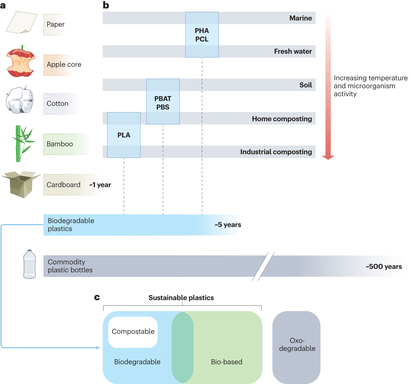 Bioplastic Pla Reading Comprehension Worksheets