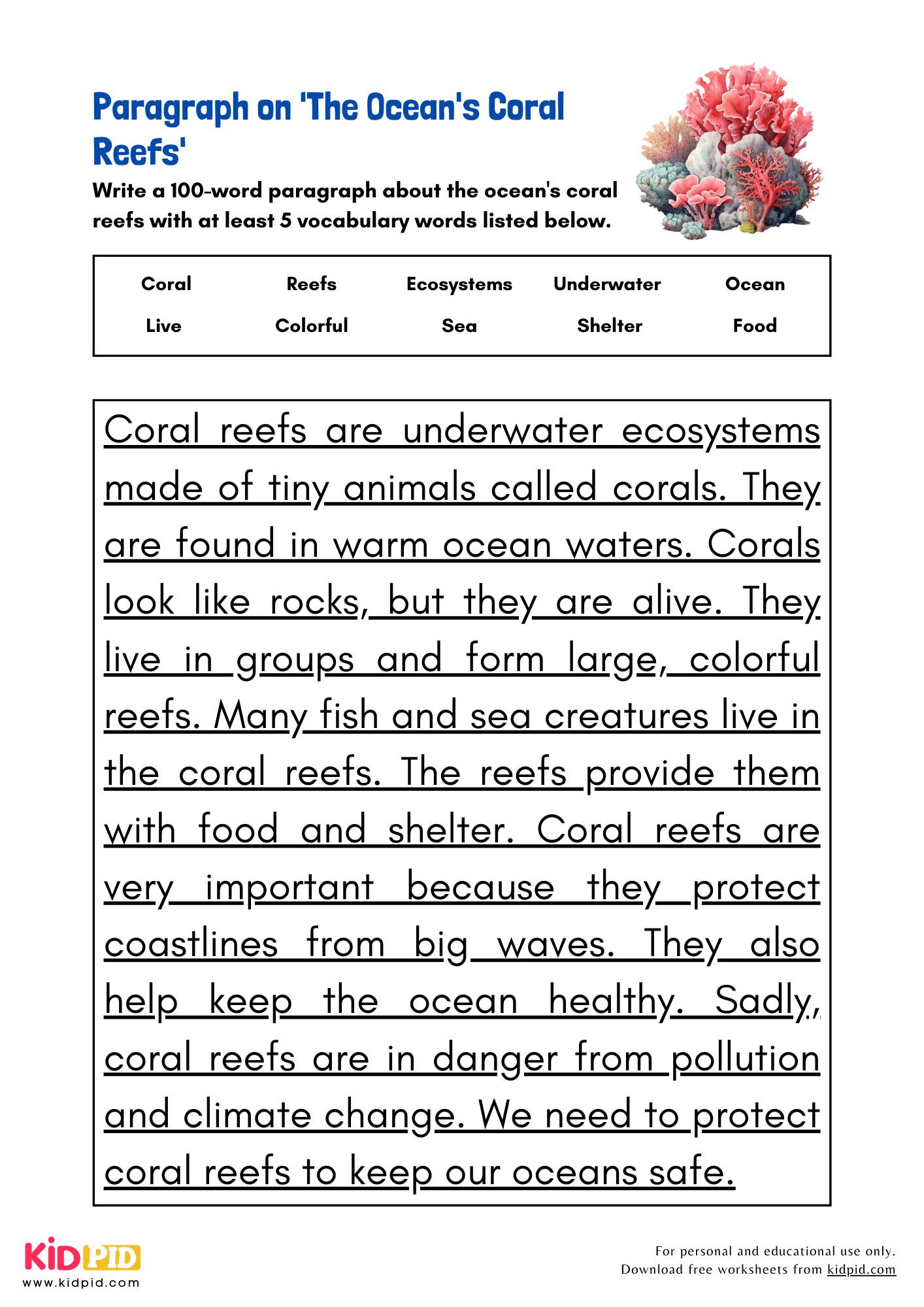 Coral Reefs Reading Comprehension Worksheets Answers