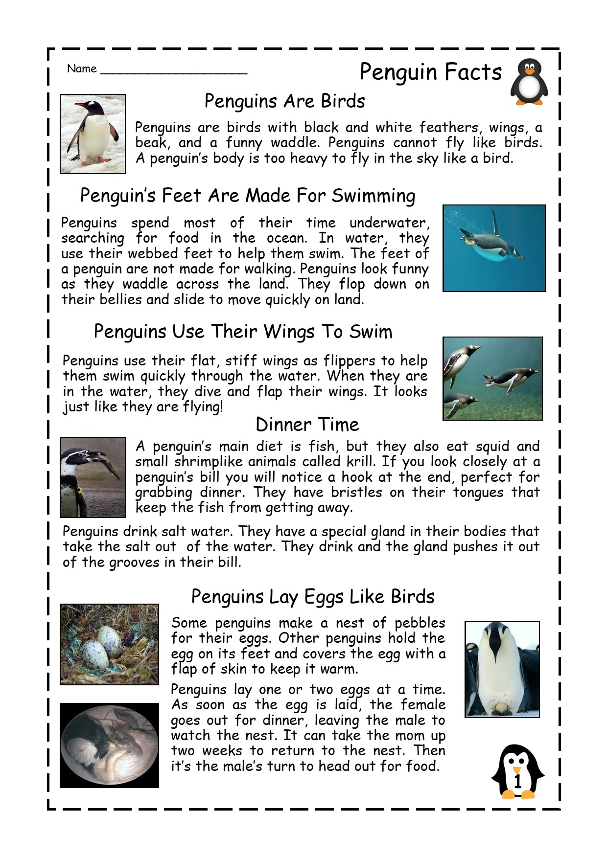 Penguin Facts Reading Comprehension Passage Made By Teachers