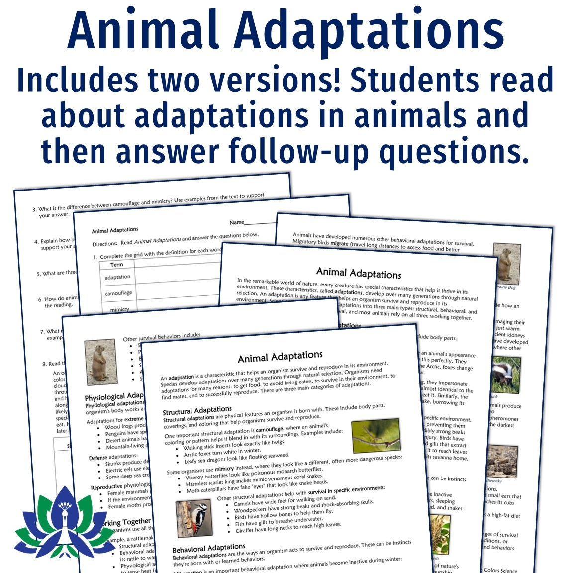 Adaptations Reading Comprehension Worksheet 6Th Grade