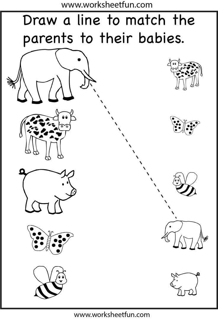 Free Printable Matching Worksheets For Kindergarten
