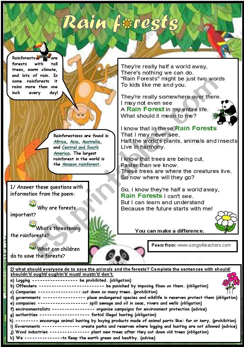 Rainforests ESL Worksheet By Sassouki
