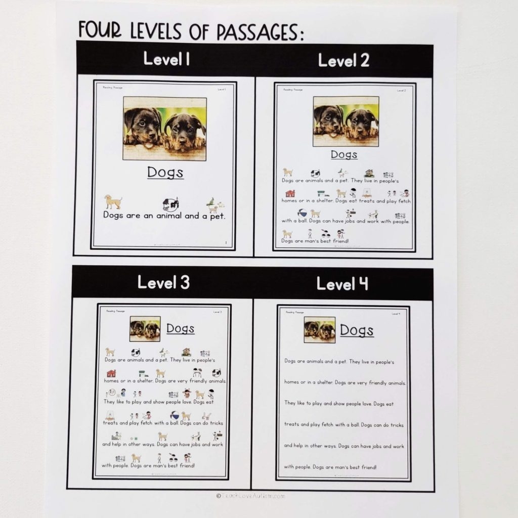 Free Special Education Reading Comprehension Worksheets