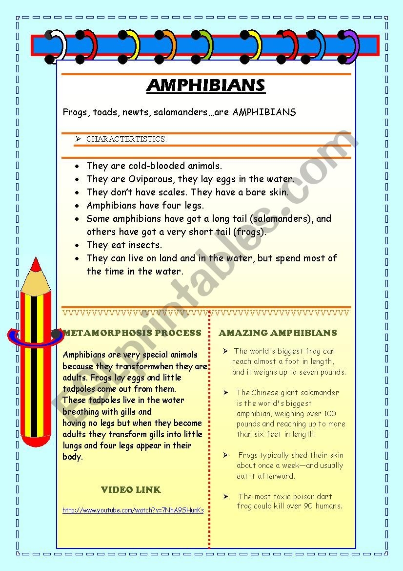 Reading Comprehension Amphibians ESL Worksheet By Nandoas