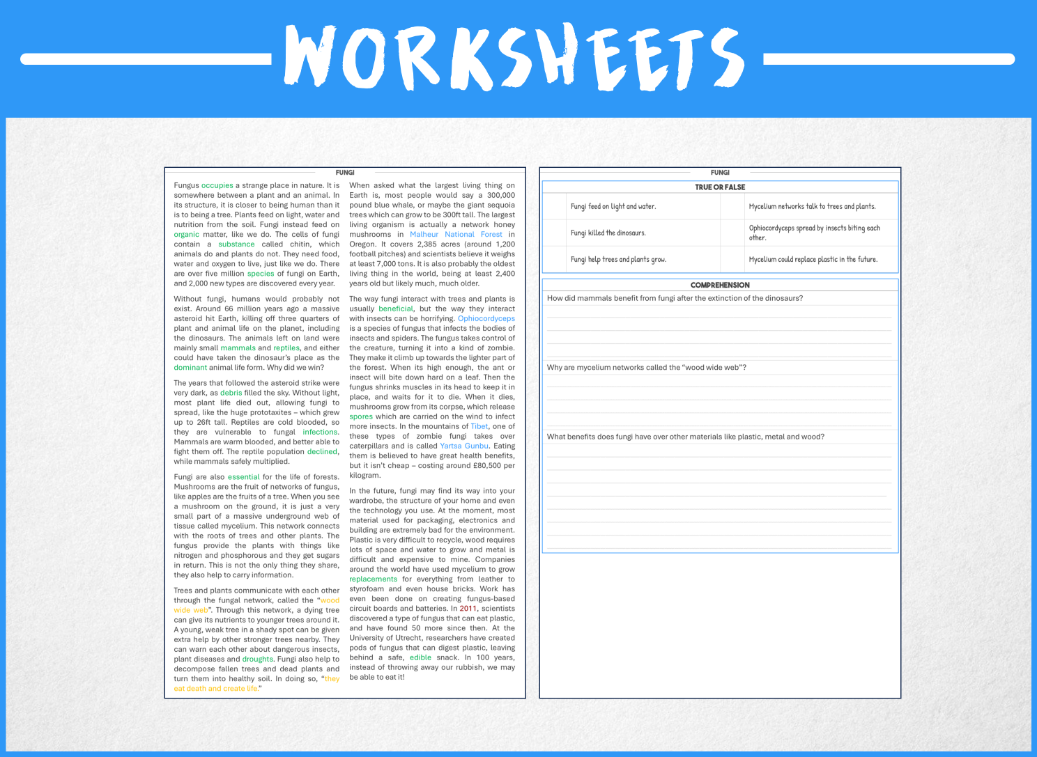 Reading Comprehension The Wild World Of Fungi PowerPoint Worksheet Made By Teachers