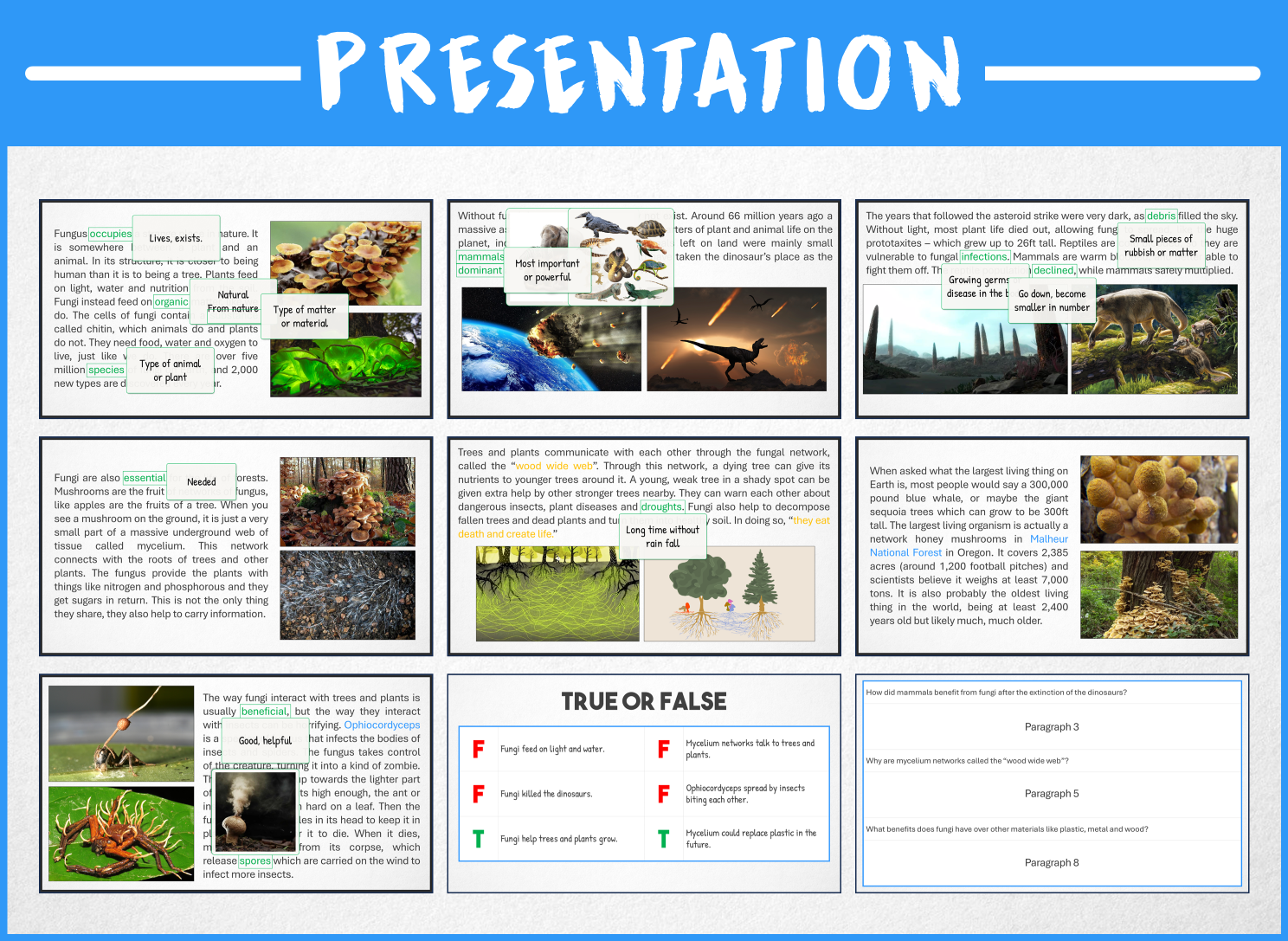 Reading Comprehension The Wild World Of Fungi PowerPoint Worksheet Made By Teachers