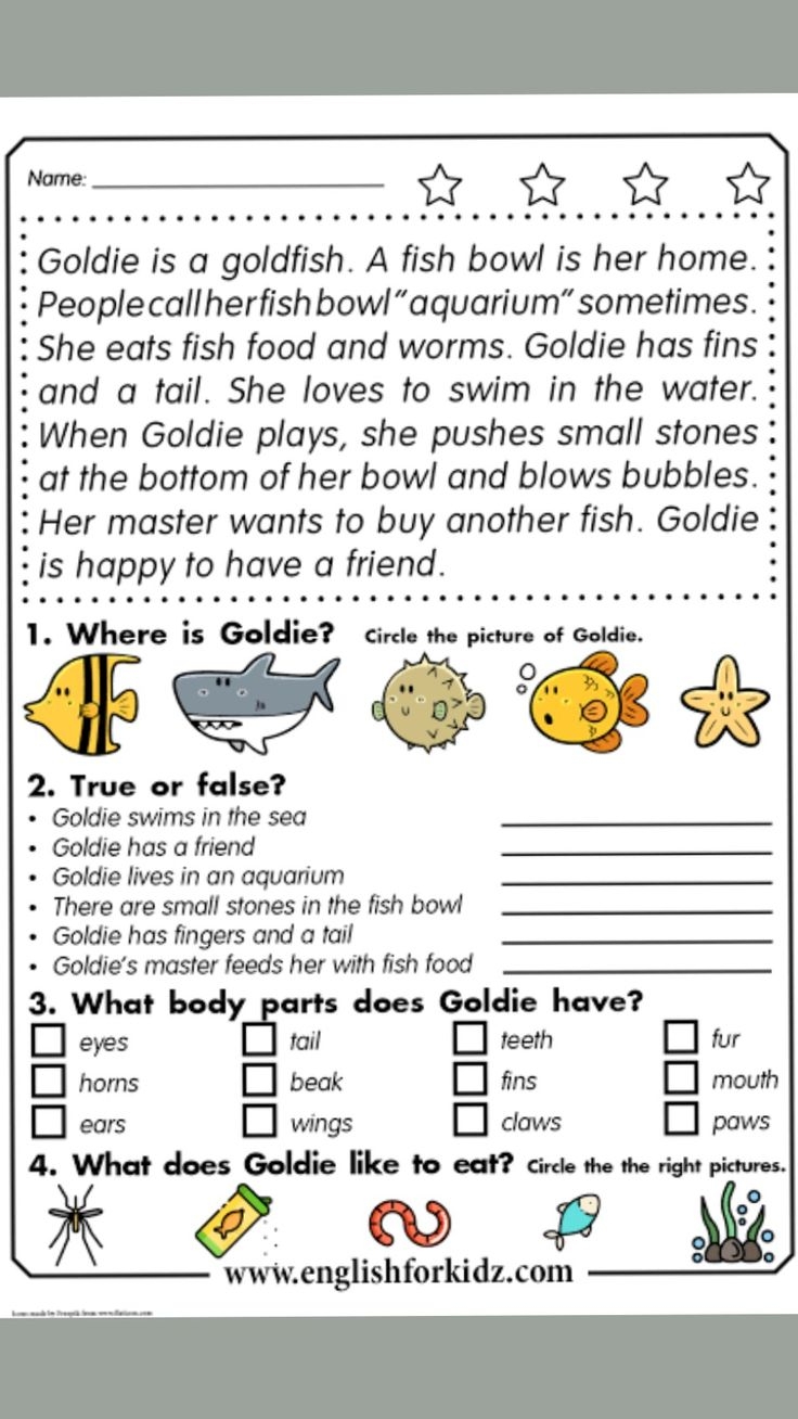 A2 Level Reading Comprehension Worksheets
