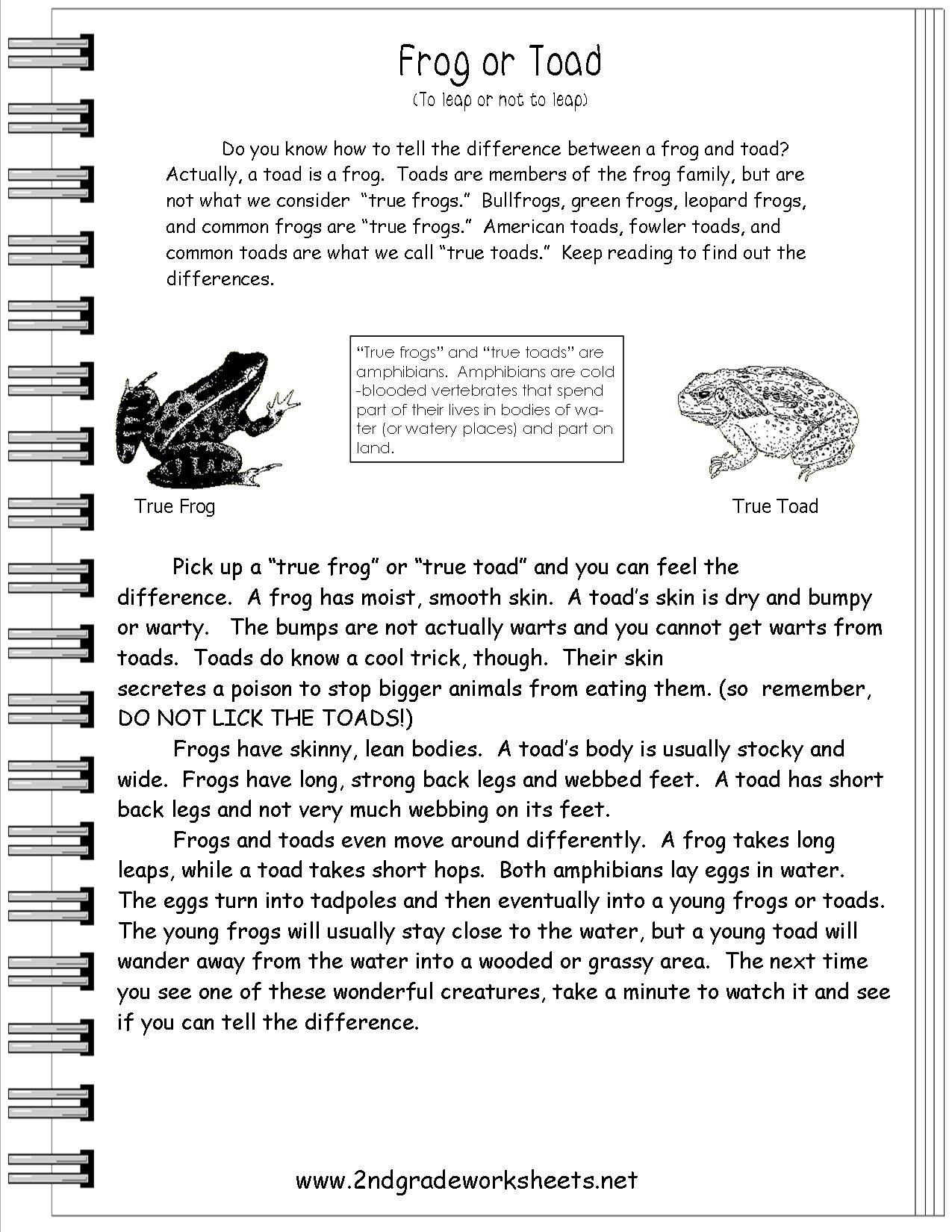4Th Grade Informational Reading Comprehension Worksheets
