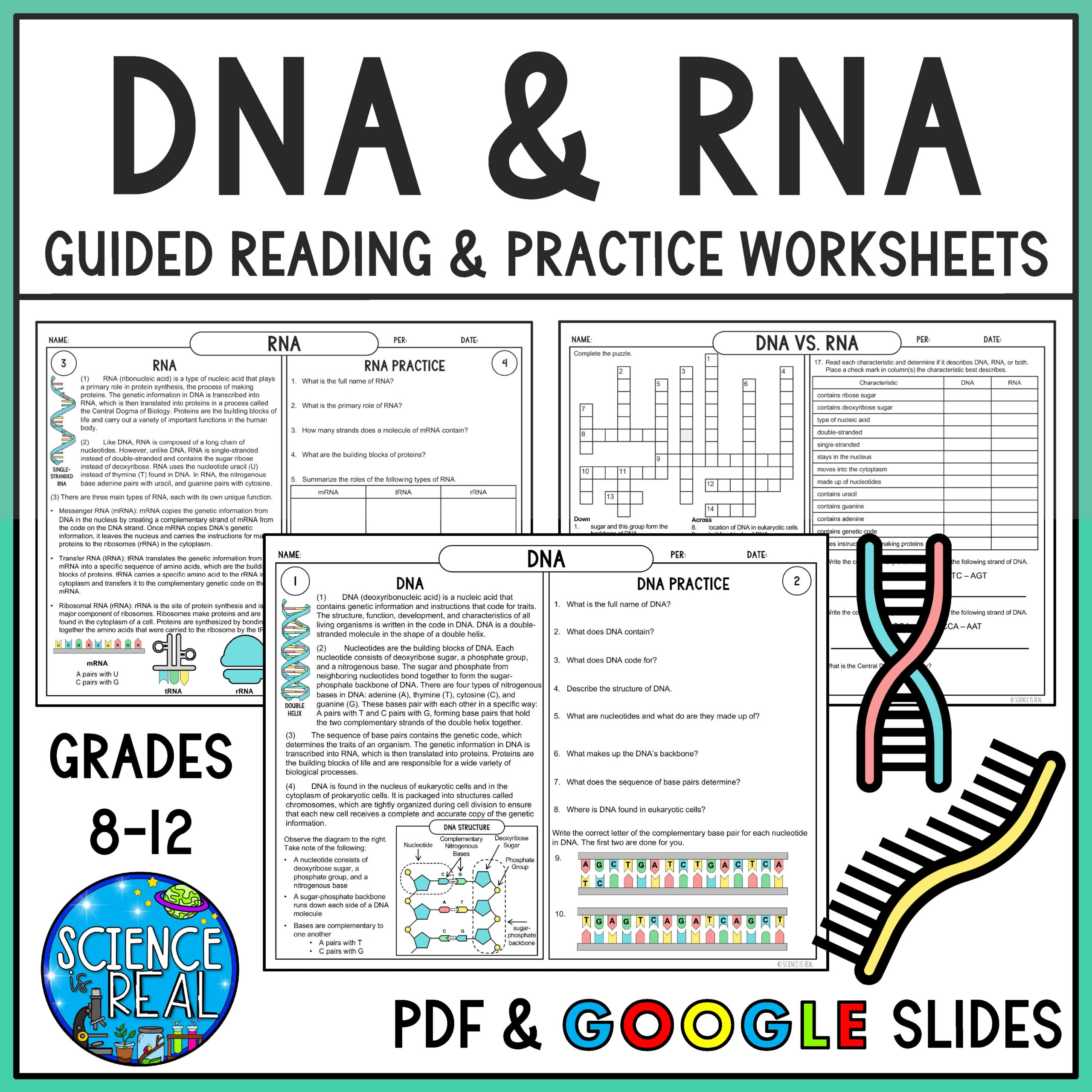 RNA And DNA Reading Comprehension And Worksheets Classful