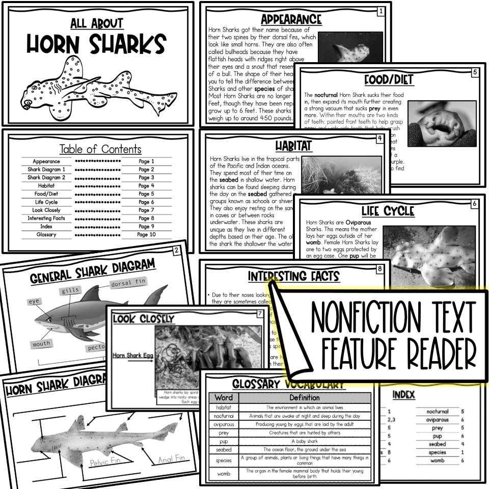 Free Shark Nonfiction Reading Comprehension Worksheets