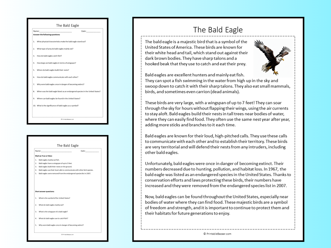 The Bald Eagle Reading Comprehension Passage Printable Worksheet Teaching Resources