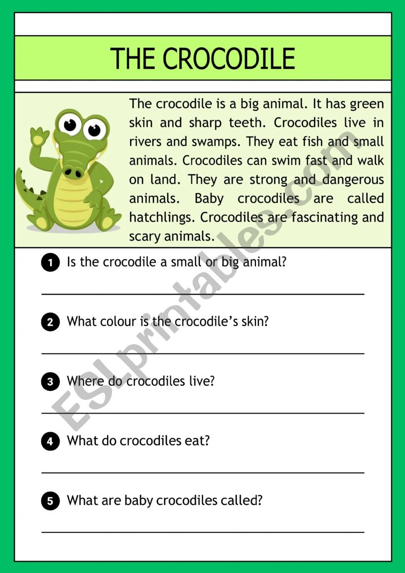 Amphibians Reading Comprehension Worksheets