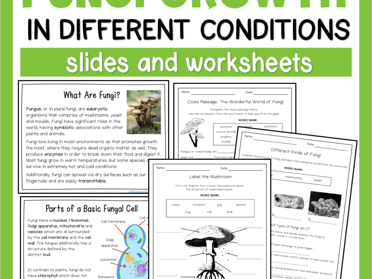 Fungi Reading Comprehension Worksheet